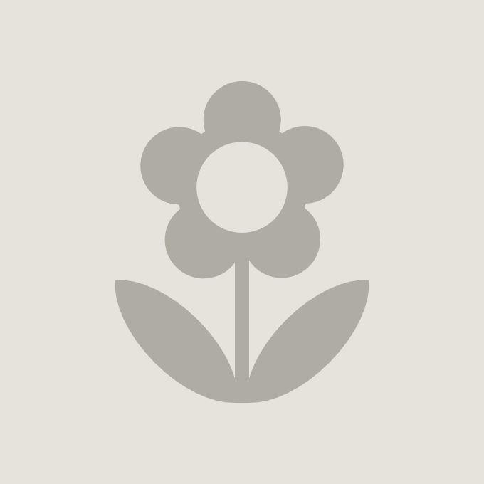 Hydrangea paniculata BOBO NOBLE® (PBR) cont. 30L 80/+ cm +f